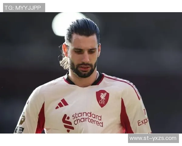 索博斯洛伊的魅力探秘与历史文化深度解析之旅